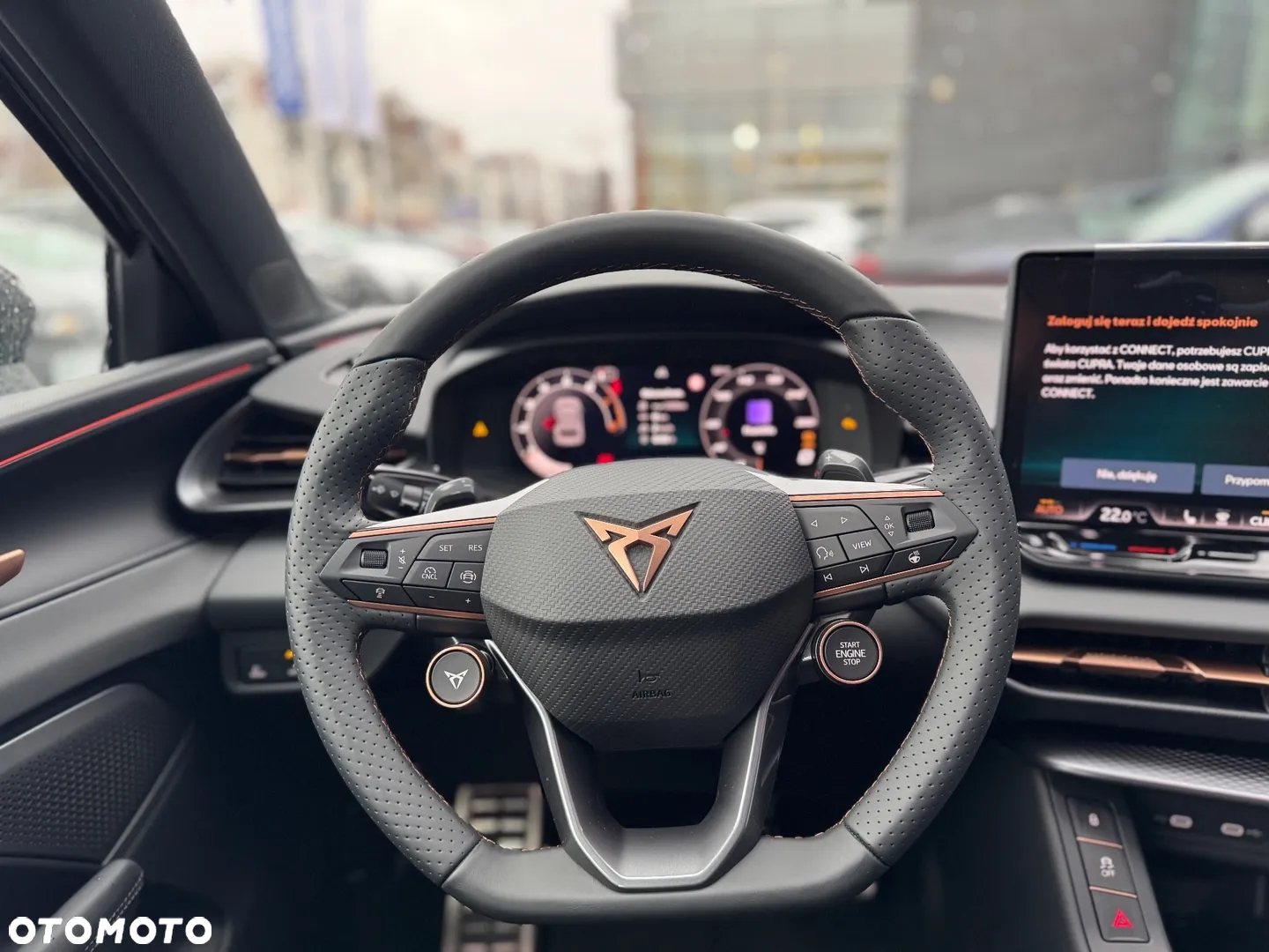 Cupra Terramar 2.0 TSI 4Drive DSG - 13