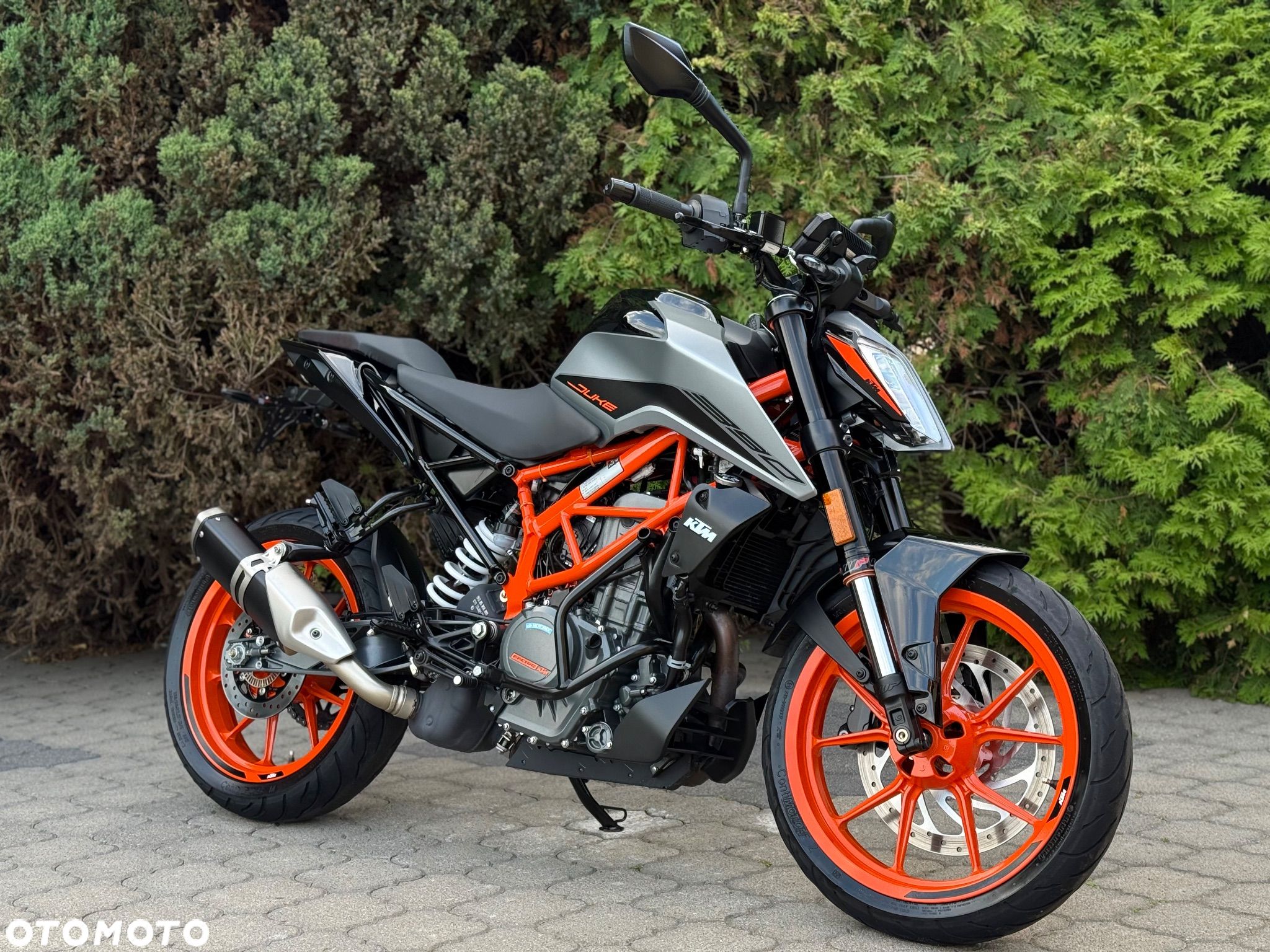 KTM Duke - 1