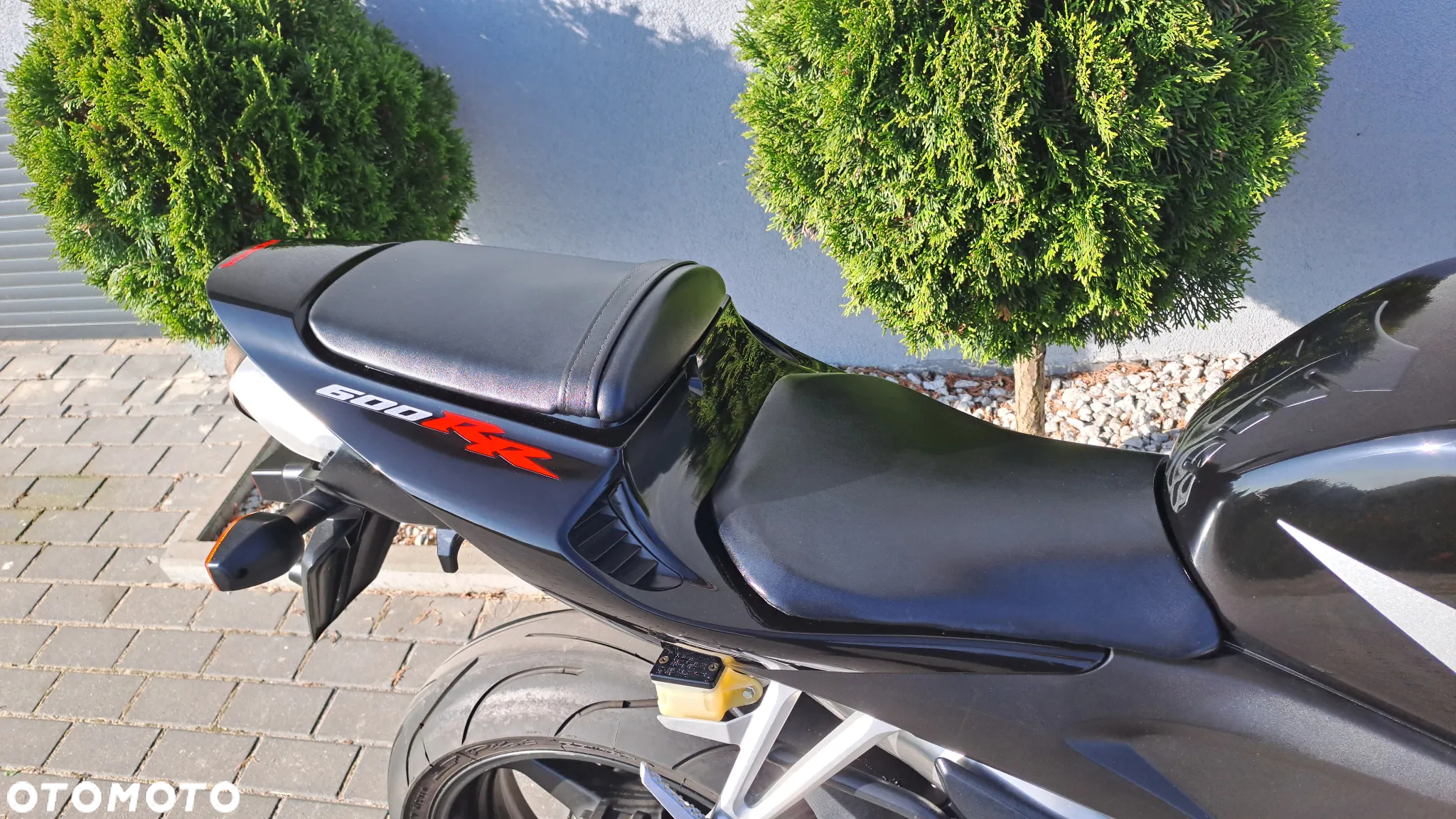 Honda CBR - 19