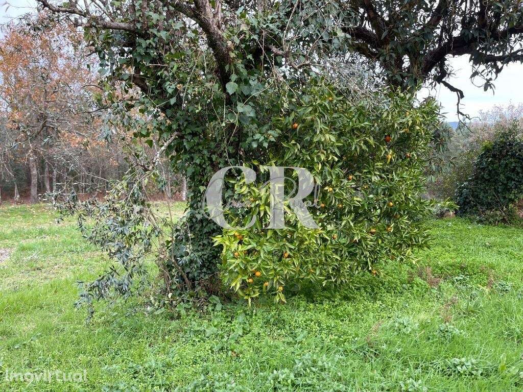 Terreno com ruínas - Grande imagem: 4/10