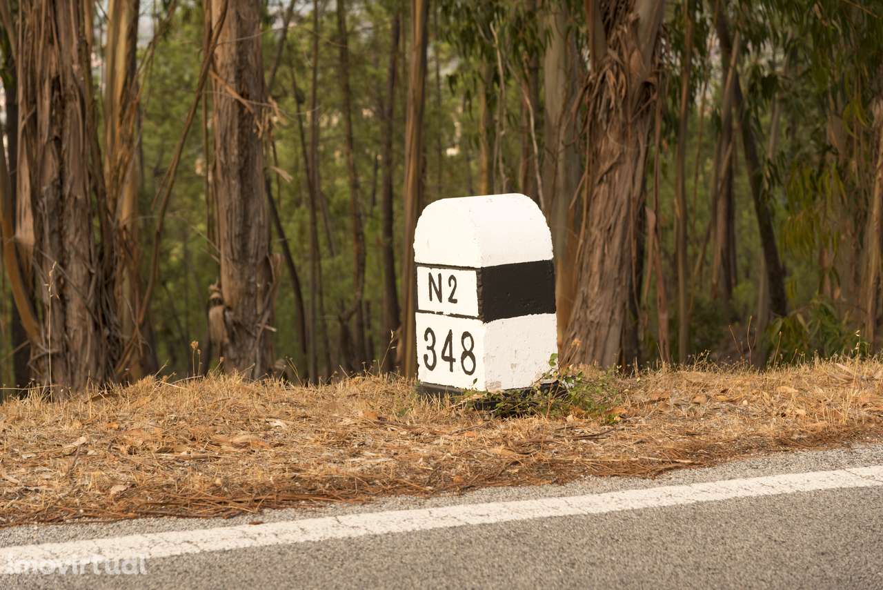 1.400 m² com potencial construtivo | Sertã – EN2 - Grande imagem: 5/24