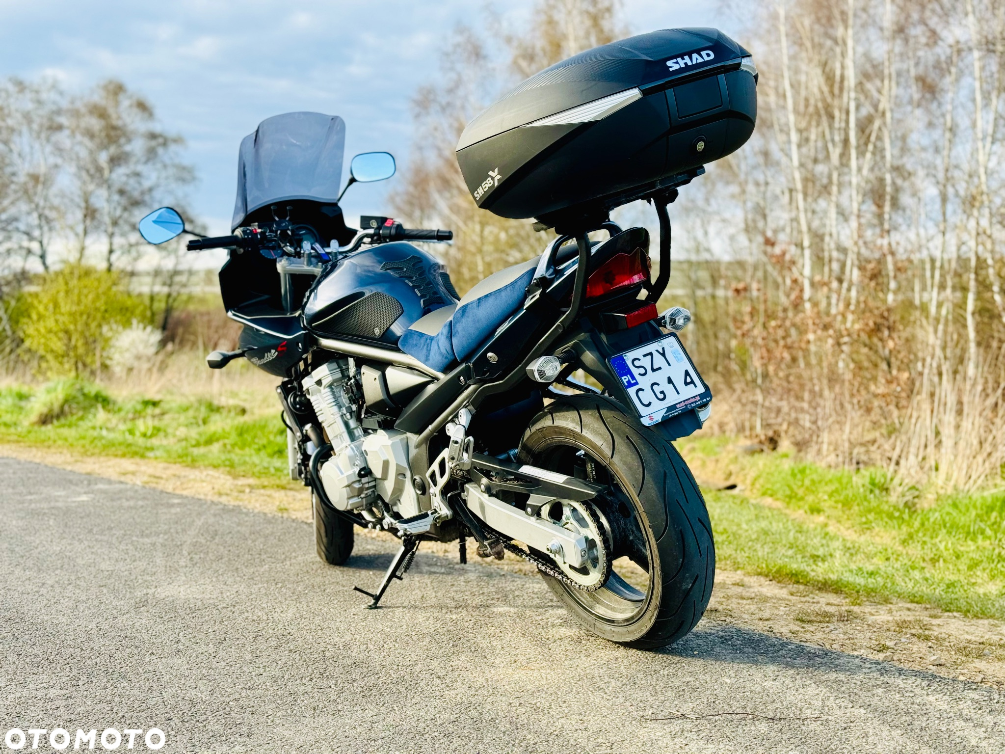 Suzuki Bandit - 3