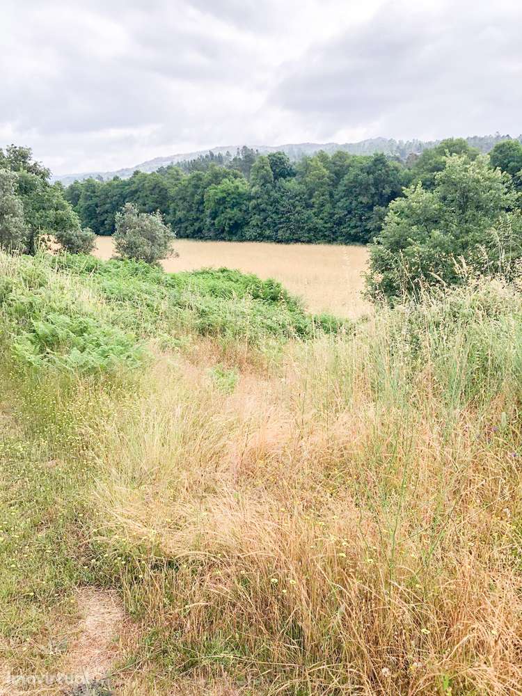 Quinta na Serra - um verdadeiro refúgio no meio da natureza! - Grande imagem: 4/6