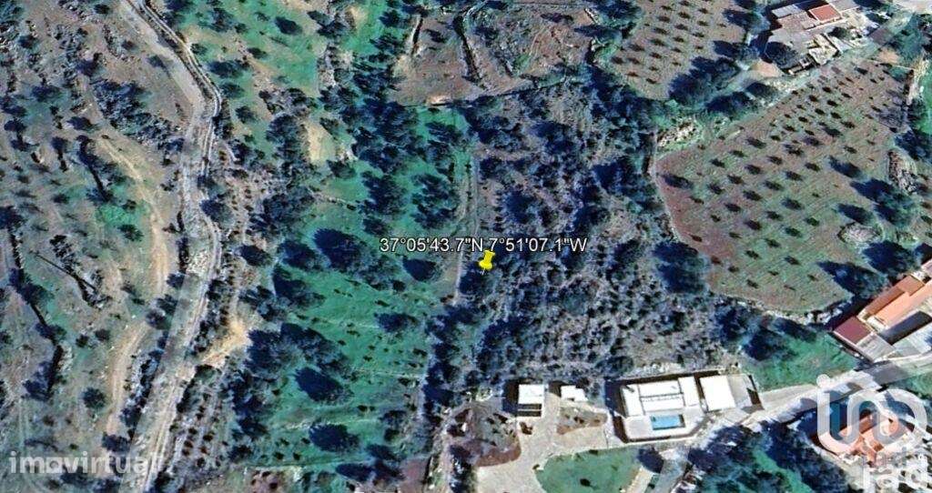 Terreno Agrícola em Conceição e Estoi - Grande imagem: 4/4