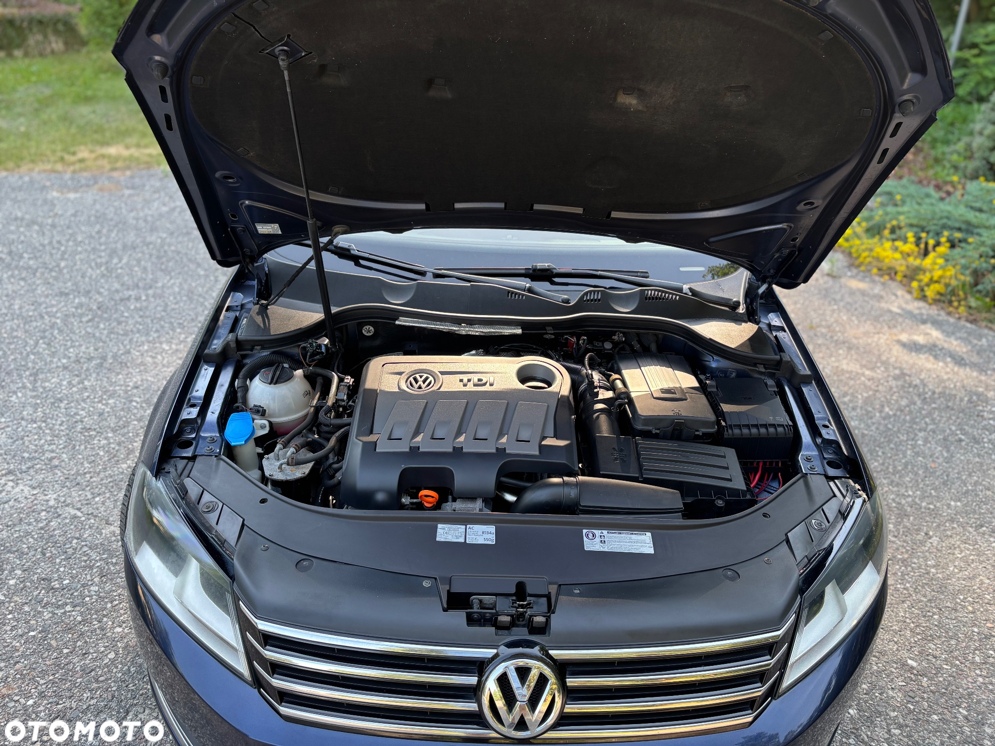 Volkswagen Passat - 22