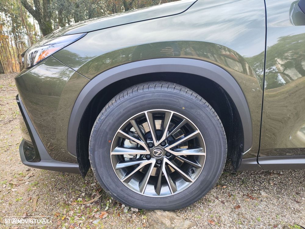 Lexus NX 450h+ - 19