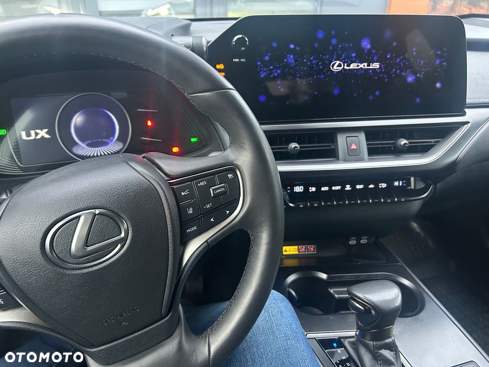 Lexus UX 250h F Sport 2WD - 31