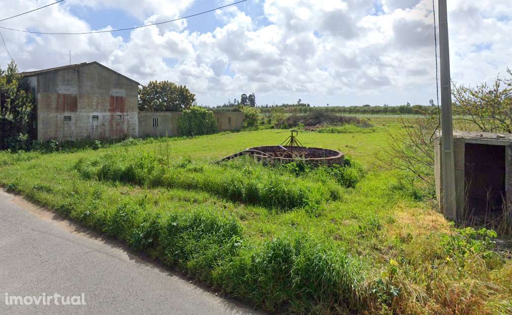 Terreno Rústico em Vagos, Aveiro - Oportunidade Única! - Grande imagem: 4/9
