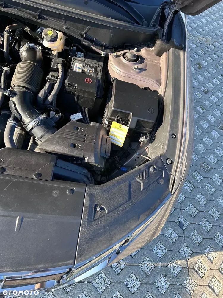 Hyundai Tucson 1.6 T-GDi 48V Executive 4WD DCT - 19