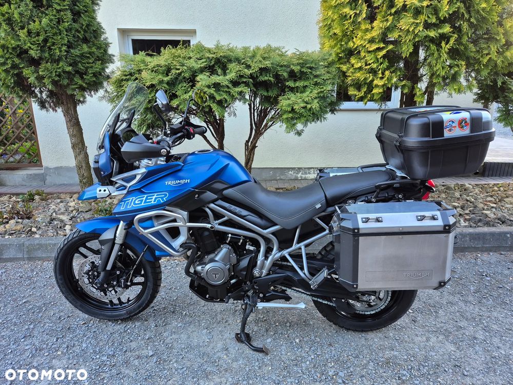 Triumph Tiger - 1