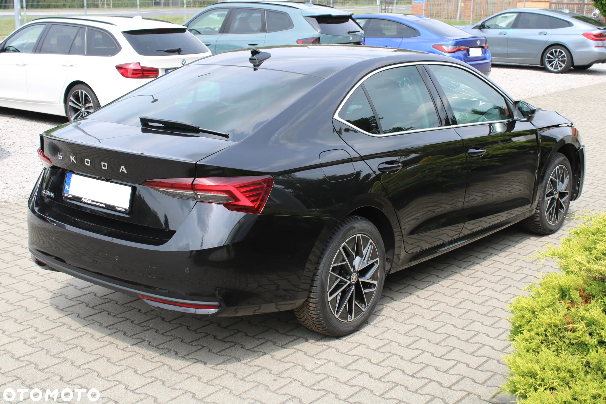 Skoda Octavia 2.0 TDI Selection DSG - 5