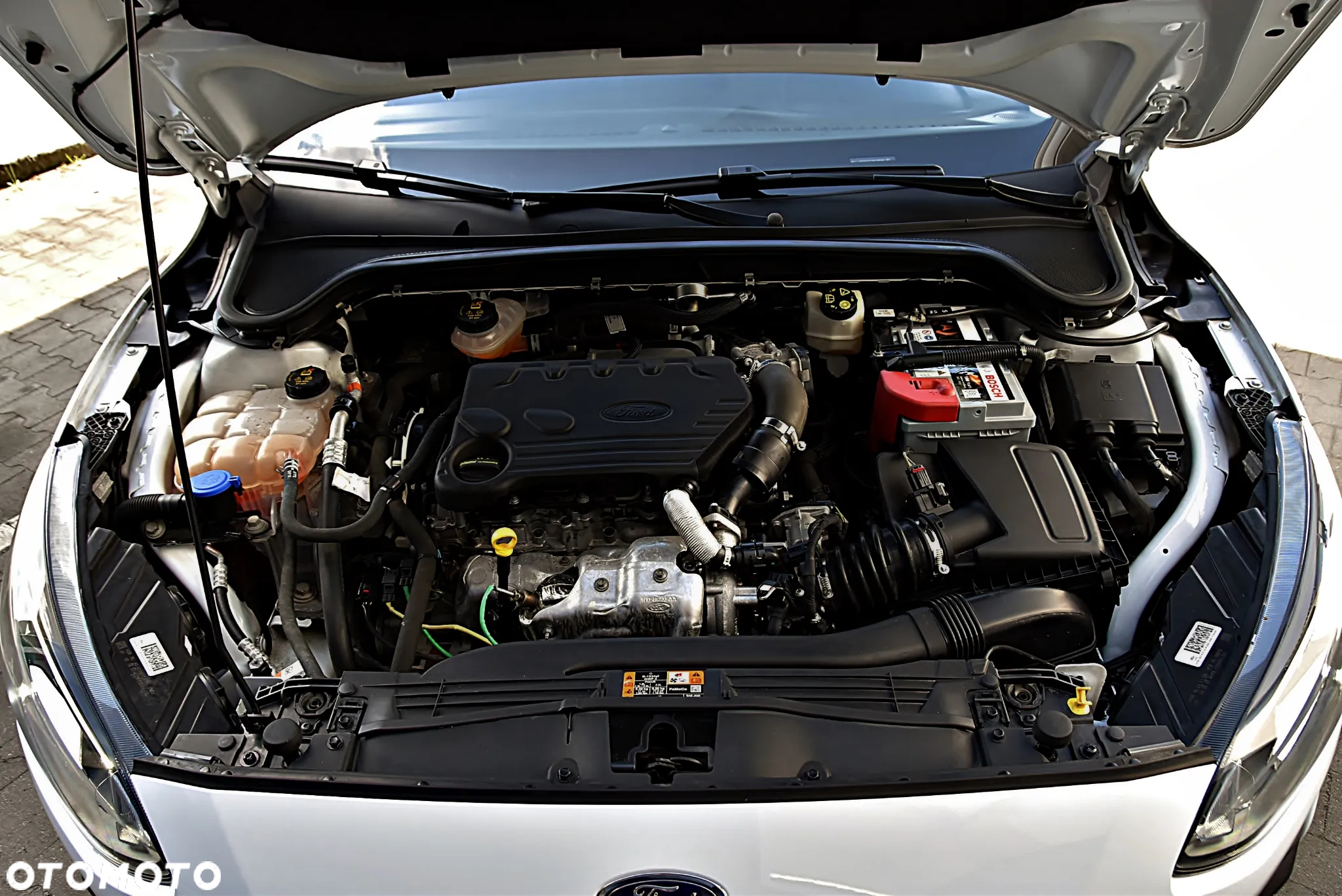 Ford Focus 1.5 EcoBlue Trend - 14