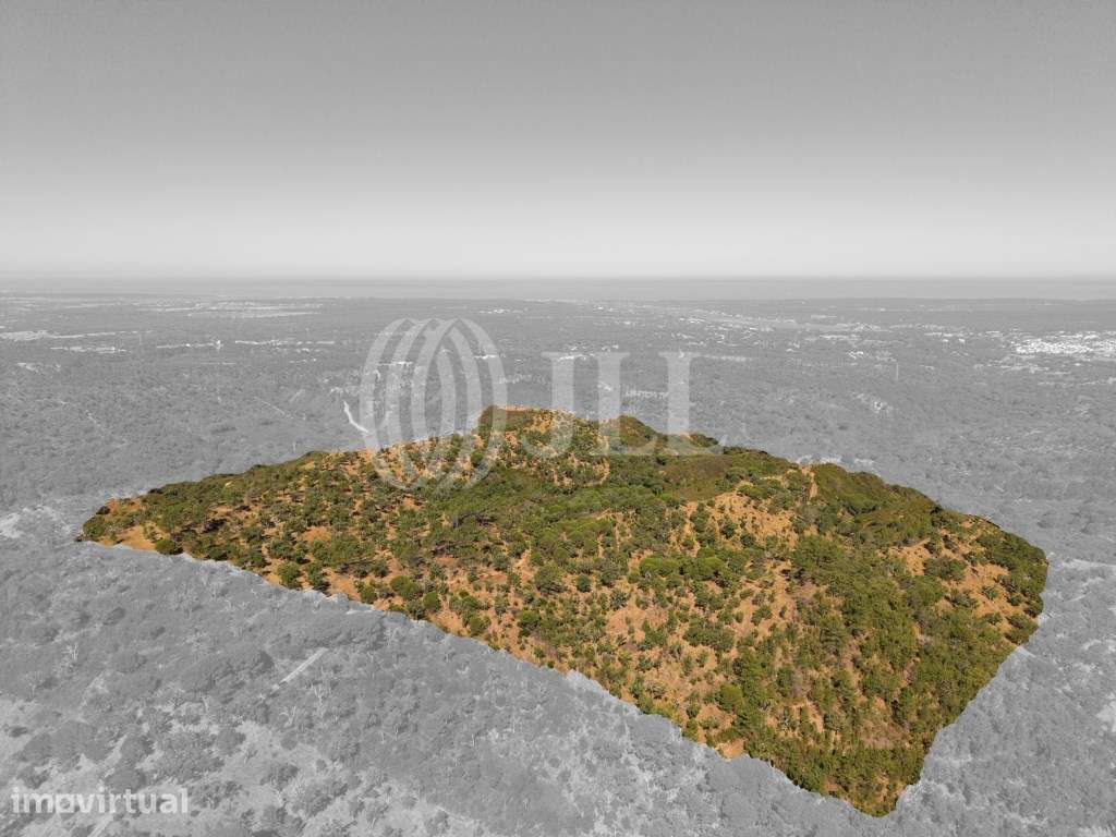 Terreno na Serra de Melides, litoral alentejano, em Melides - Grande imagem: 3/8