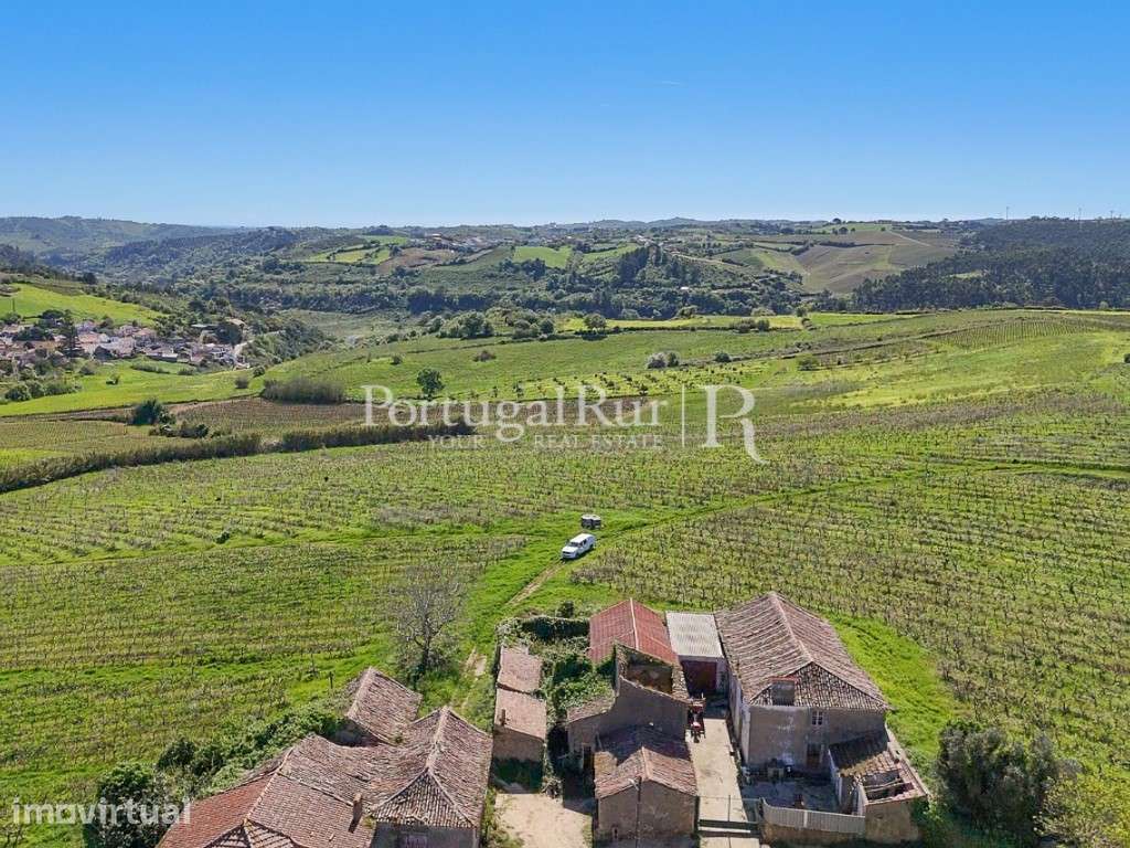 Quinta de 10,5 ha com vinha e construções em Alenquer - Grande imagem: 2/17