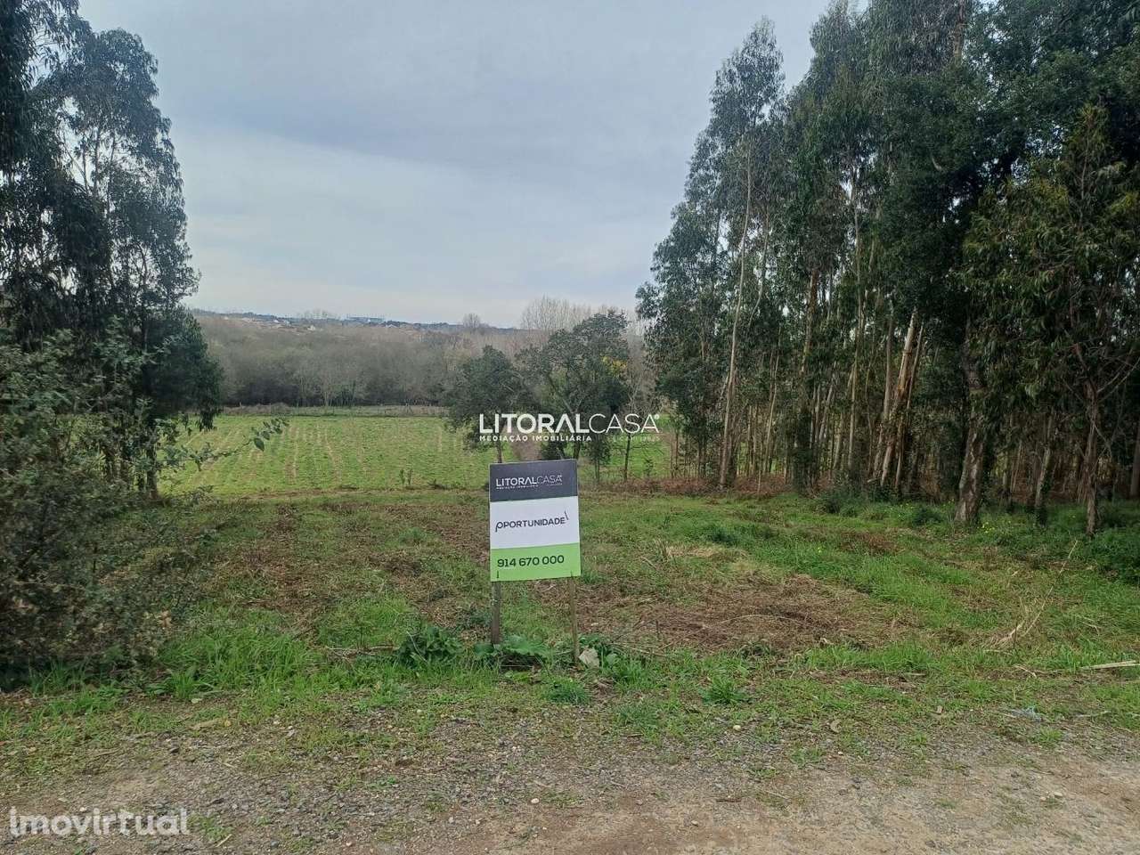 Terreno | Horta - Eixo - Grande imagem: 2/16