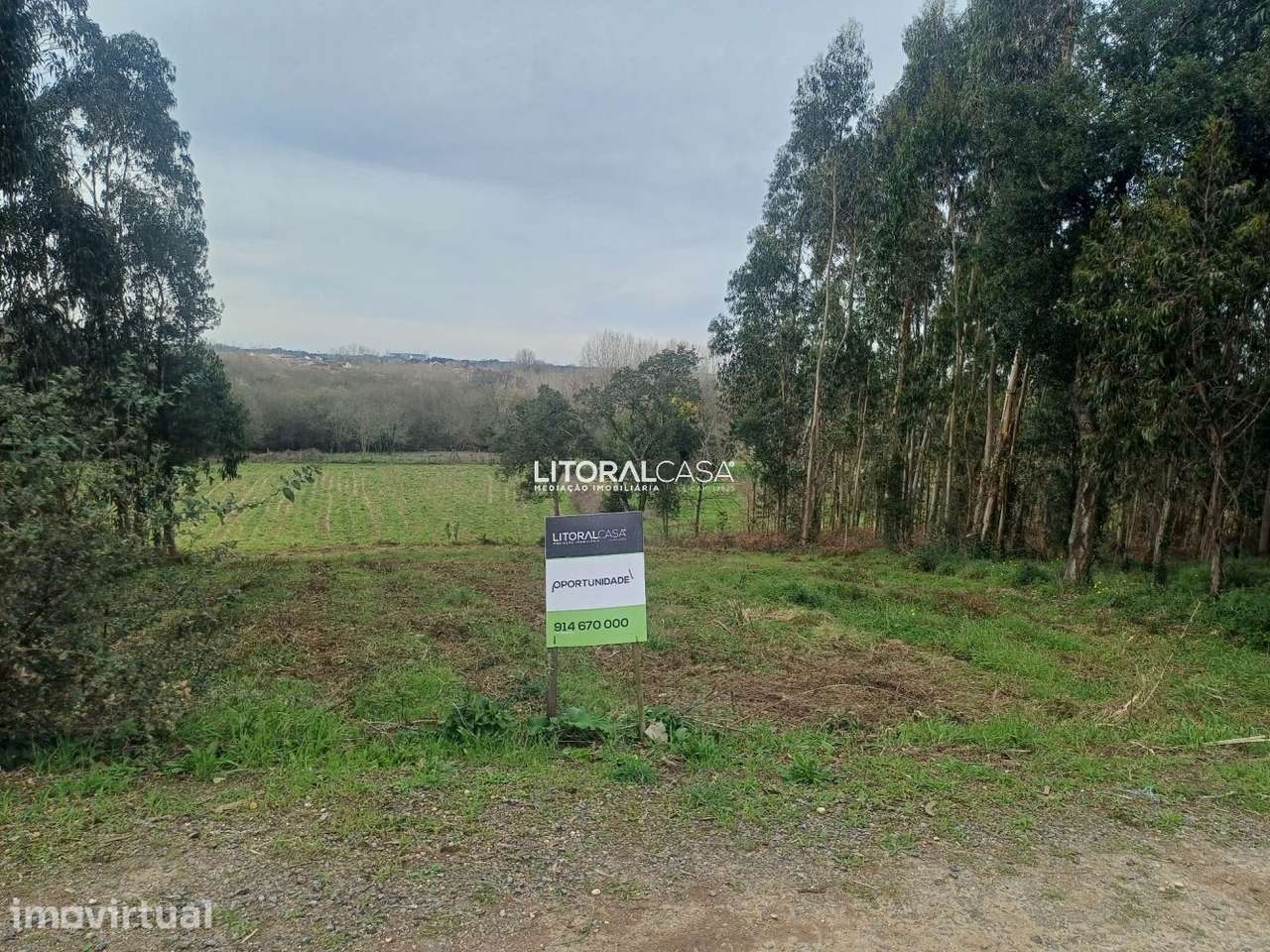 Terreno | Horta - Eixo - Grande imagem: 2/16