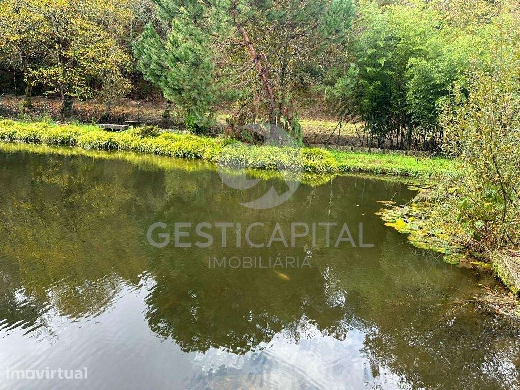 Terreno Rústico com Lagoa no Marco – Um Refúgio de Natureza e Tranquil - Grande imagem: 4/22