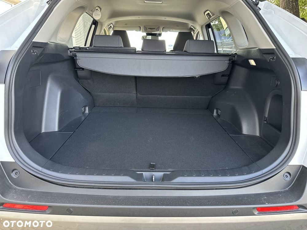 Toyota RAV4 - 17