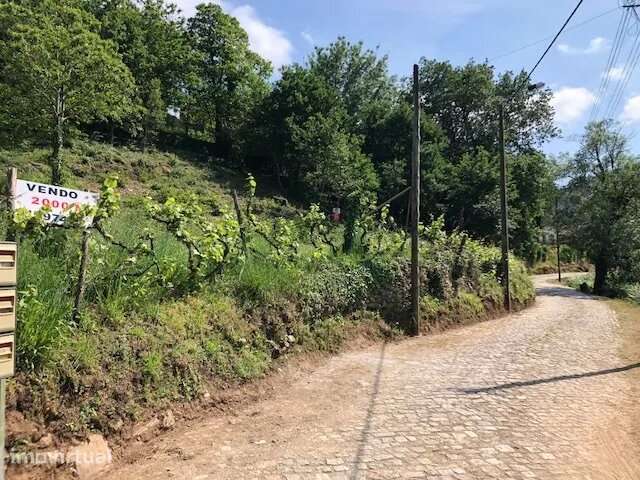 Terreno junto ao Rio Douro em Medas, Gondomar - Grande imagem: 2/10