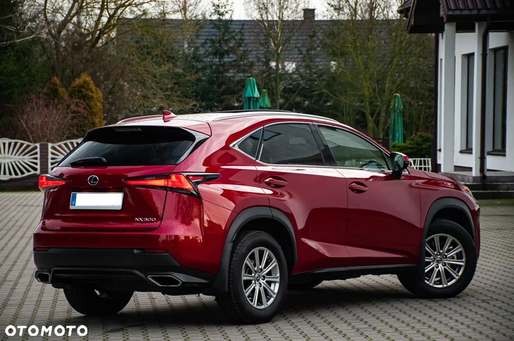 Lexus NX - 13