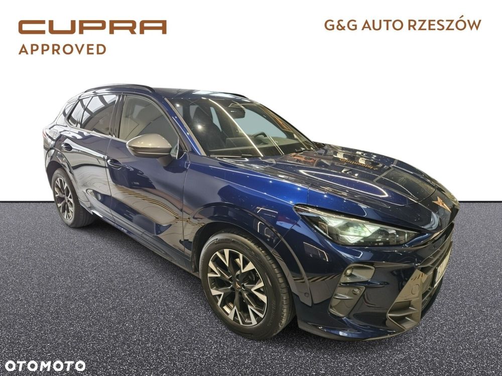 Cupra Terramar - 2