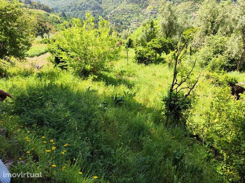 vende-se imóvel/terreno - Grande imagem: 3/11