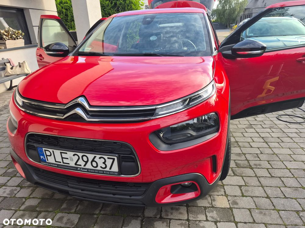 Citroën C4 Cactus 1.2 PureTech GPF Shine S&S - 8