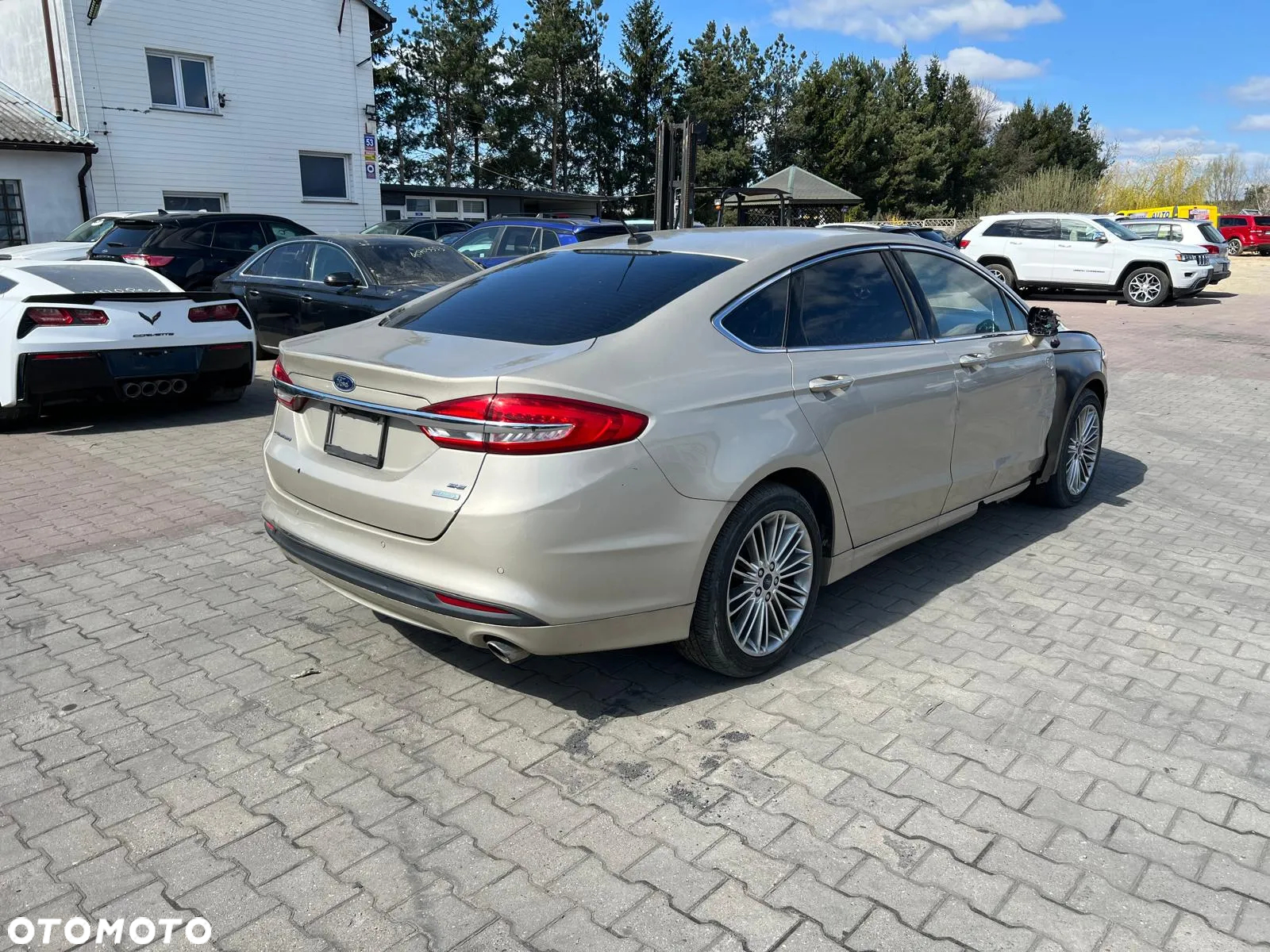 Ford Fusion - 5