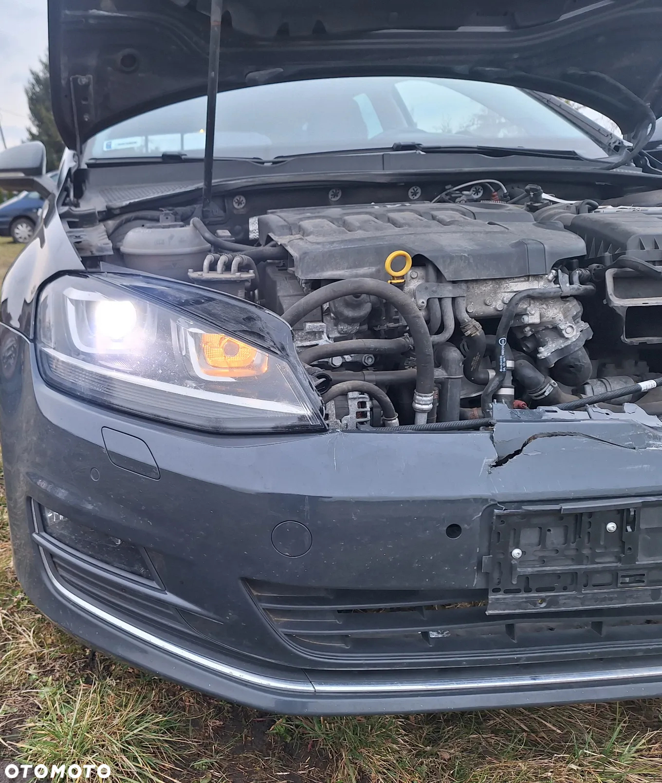 Volkswagen Golf VII 2.0 TDI BMT Highline DSG EU6 - 14