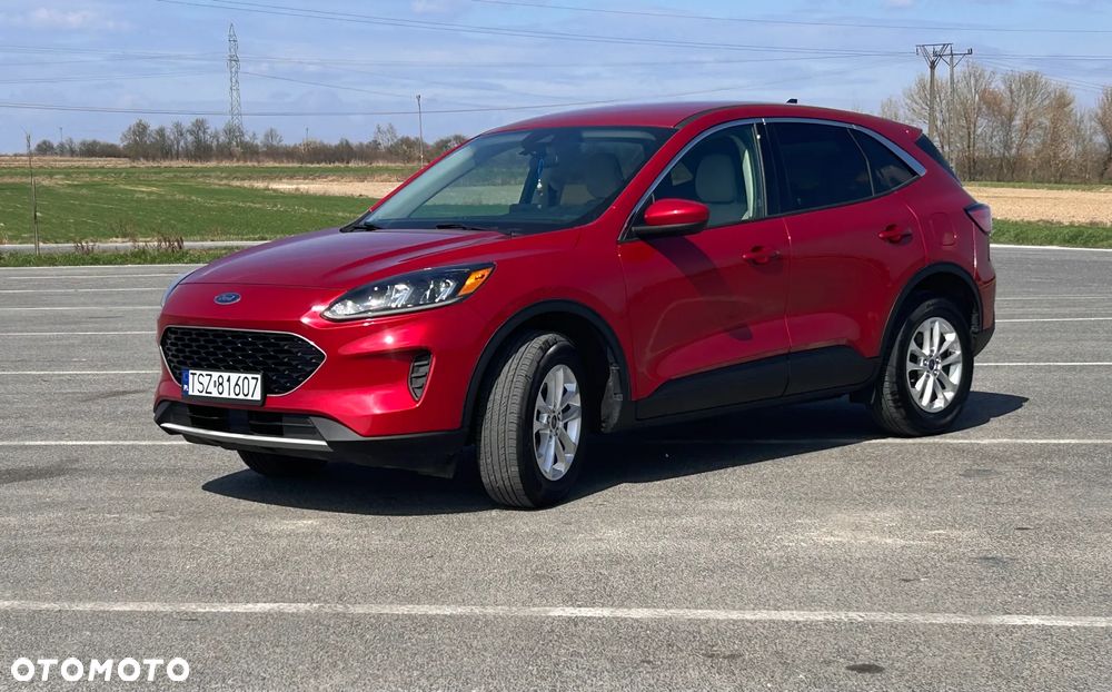 Ford Escape - 1