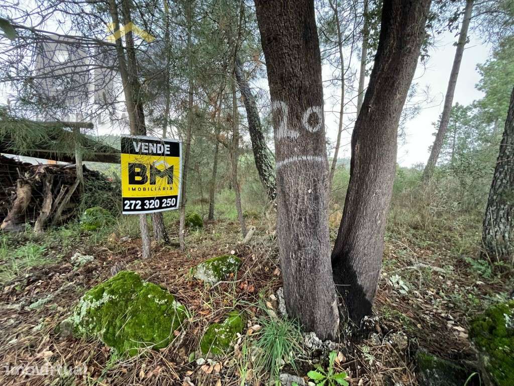 Terreno rustico com 4.120m2 para venda em Palvarinho! - Grande imagem: 3/14