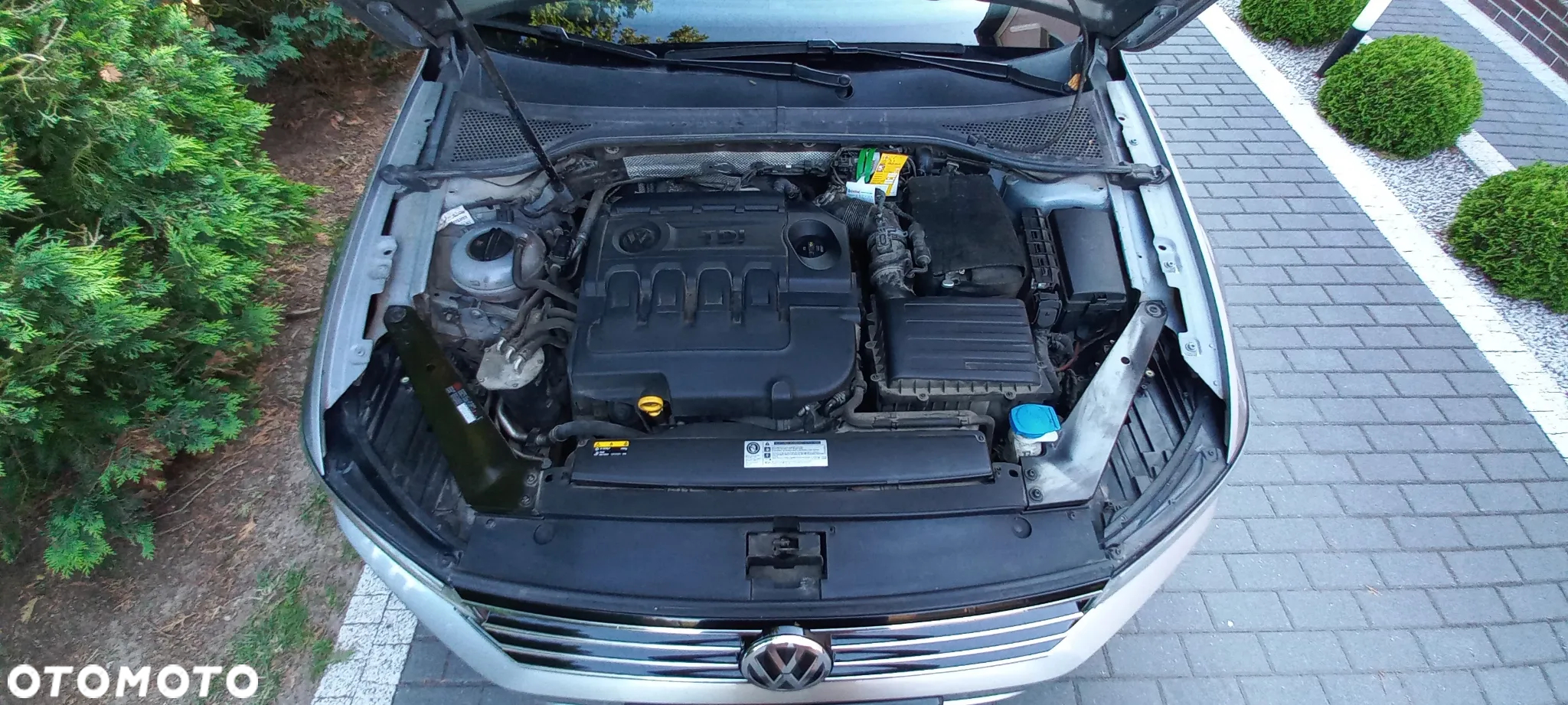Volkswagen Passat - 20
