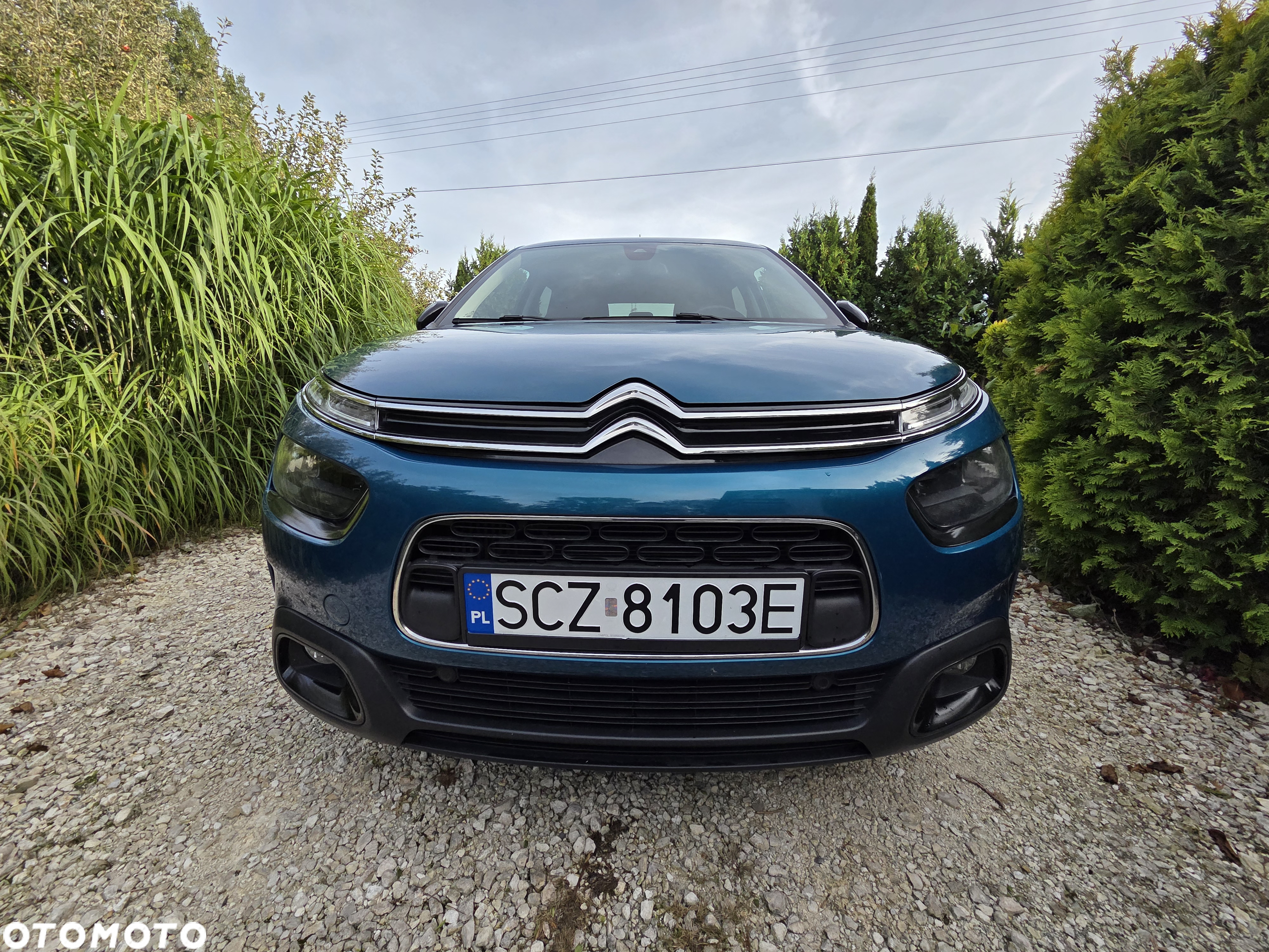 Citroën C4 Cactus PureTech 110 Stop&Start EAT6 Shine - 26