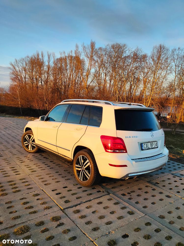 Mercedes-Benz GLK 250 CDI BlueTEC 4-Matic - 23