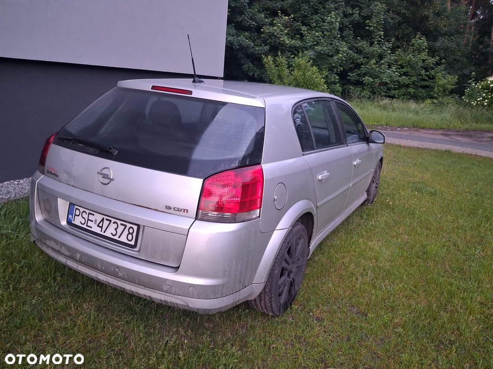 Opel Signum 1.9 CDTI Cosmo - 2