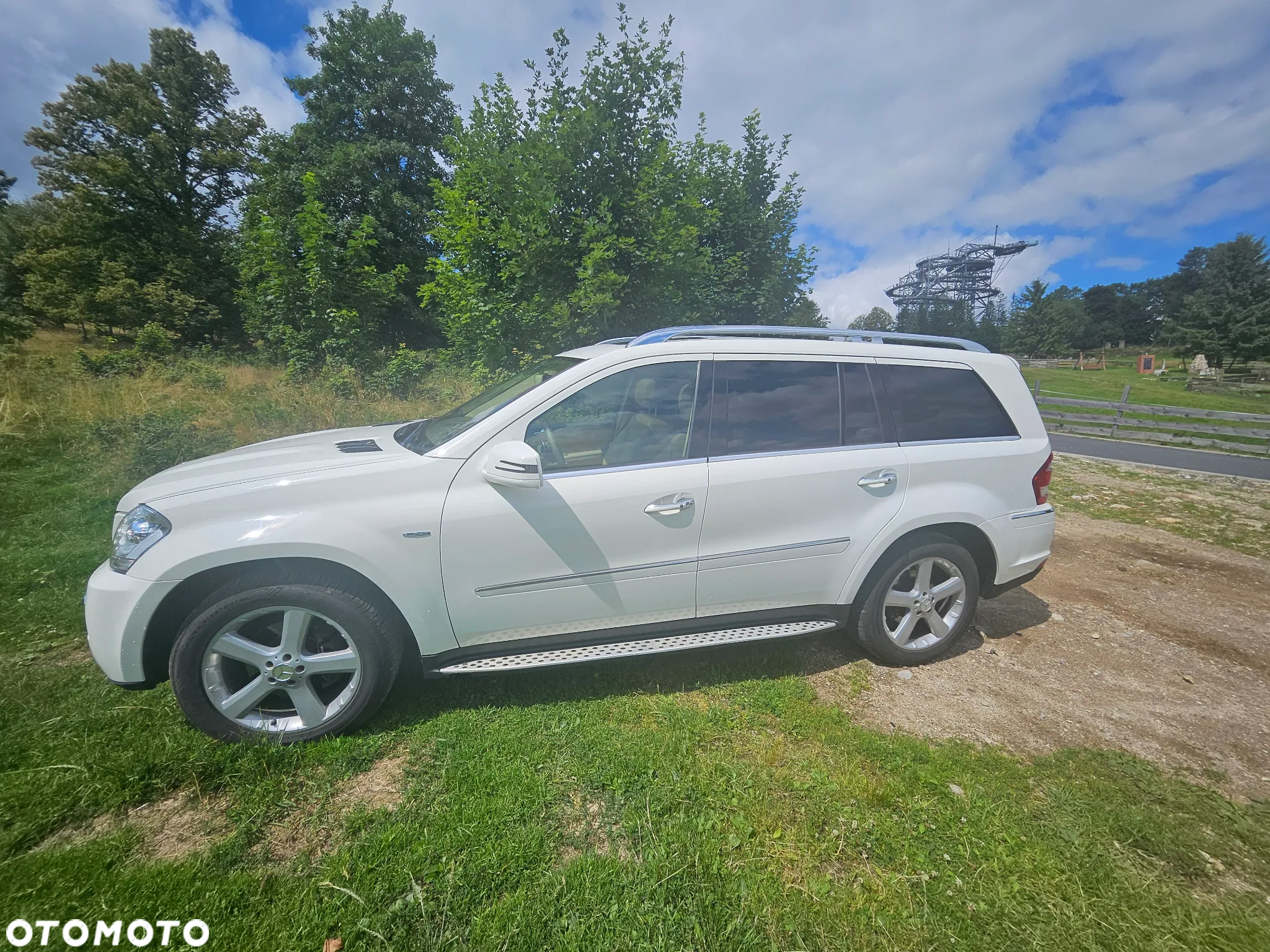 Mercedes-Benz GL 350 BlueTEC 4Matic 7G-TRONIC - 10