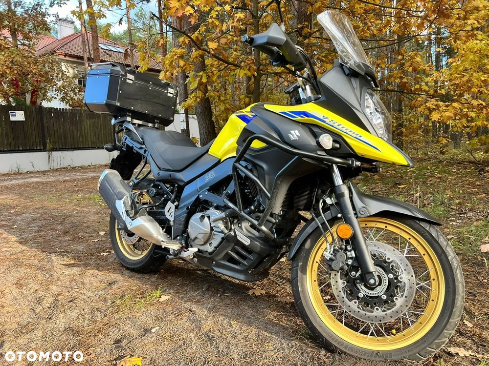 Suzuki DL - 10