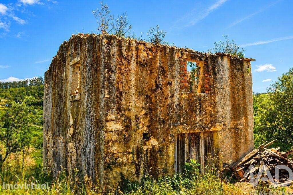 Casa / Villa em Vila Seca e Bem da Fé - Grande imagem: 3/16