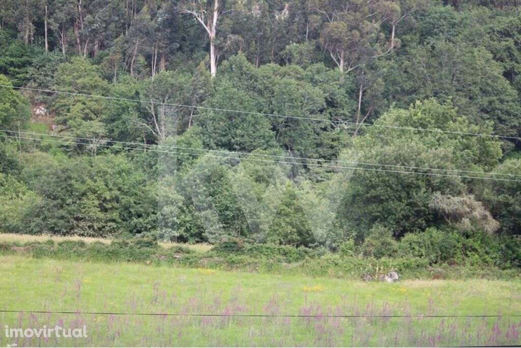 Terreno plano com PIP para construção com cerca de 2.000m2 e ruínas. - Grande imagem: 2/5