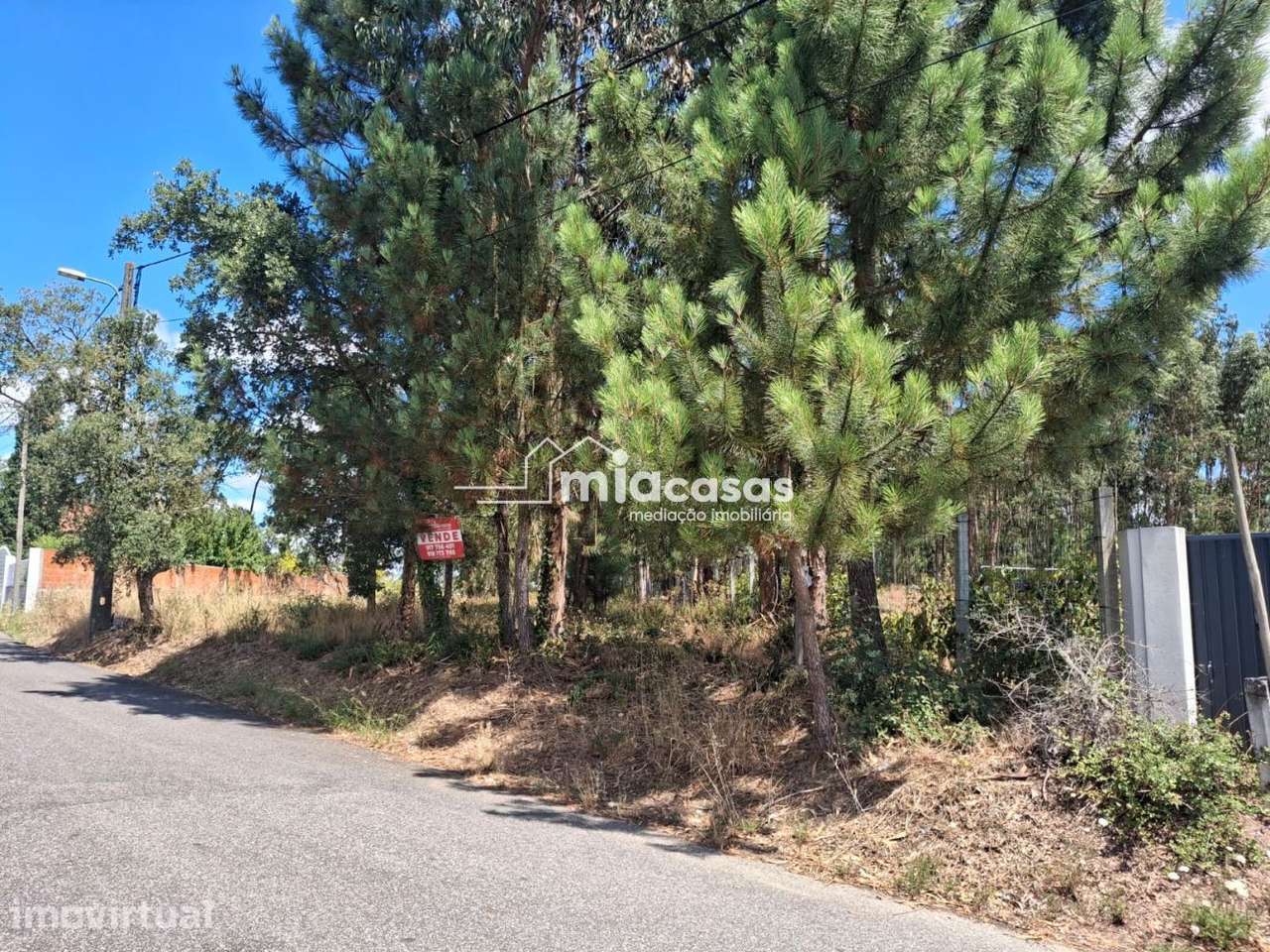 TERRENO PARA CONSTRUÇÃO ESPAIRO - ANADIA - Grande imagem: 3/3
