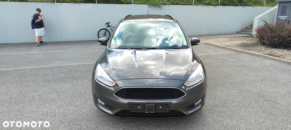 Ford Focus 2016 photo 3