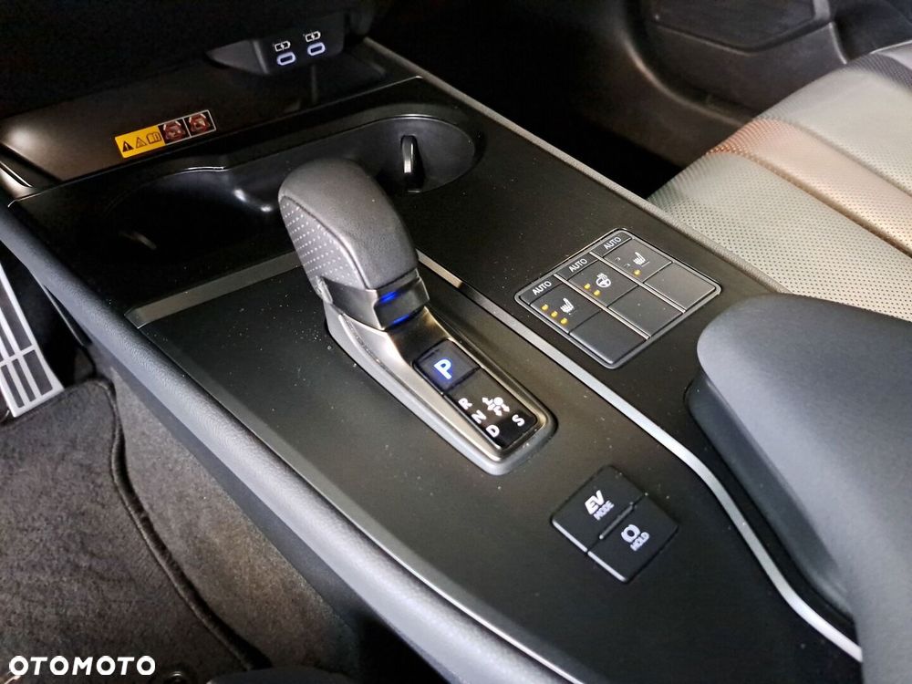 Lexus UX 300h F Sport AWD - 30