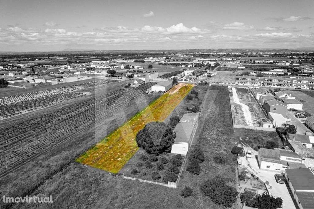 VENDA | Terreno Urbano com 2900m2 nas Fazendas de Almeirim, Almeirim - Grande imagem: 2/16