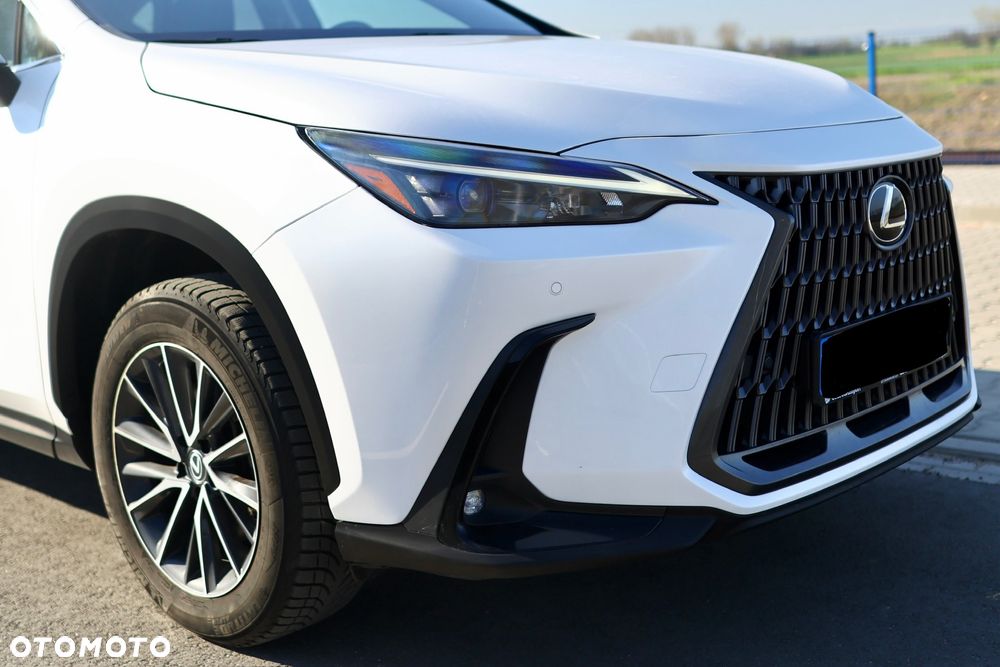 Lexus NX - 20