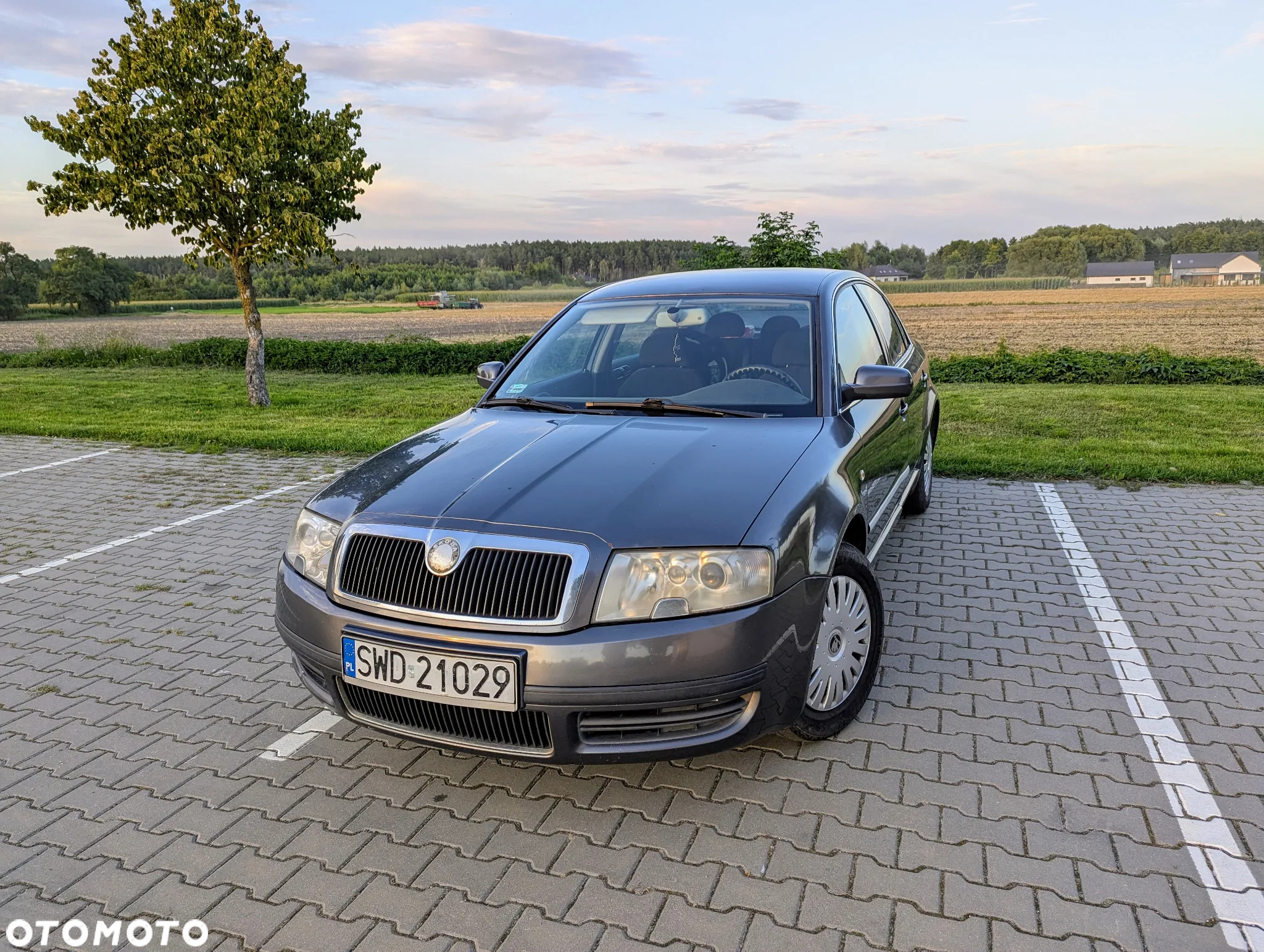 Skoda Superb 1.9 TDI Elegance - 9