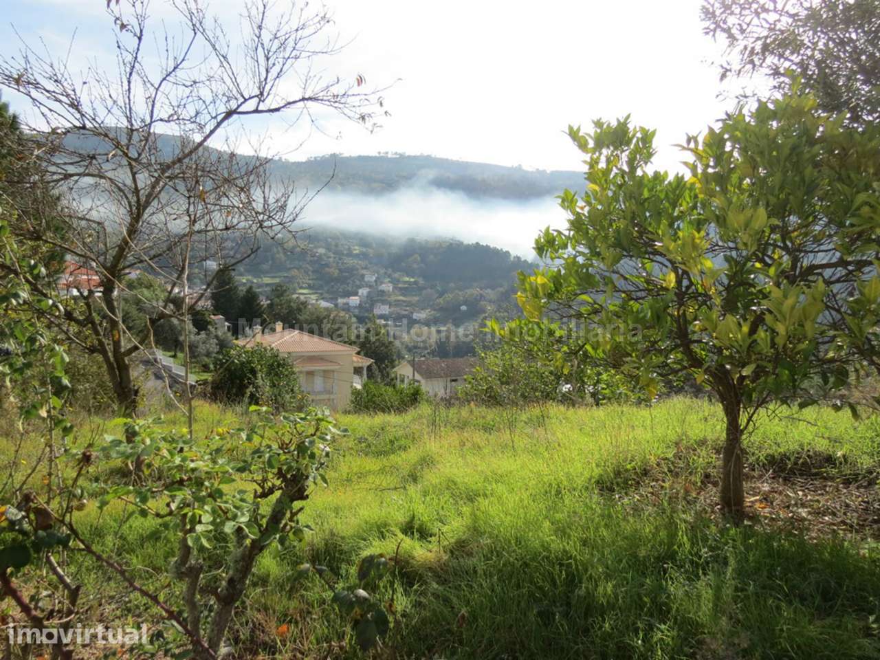 Lote de Terreno  Venda em São Gião,Oliveira do Hospital - Grande imagem: 3/9