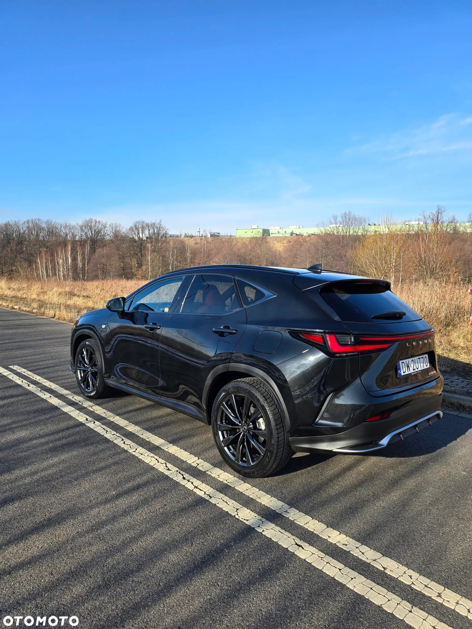 Lexus NX 350h F Sport AWD - 7