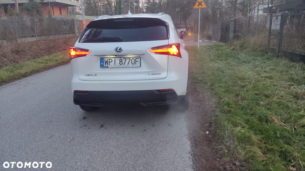 Lexus NX 300h Comfort AWD - 4