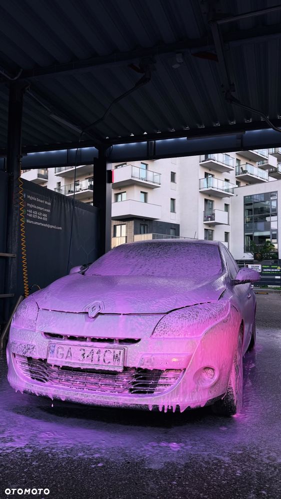 Renault Megane - 17