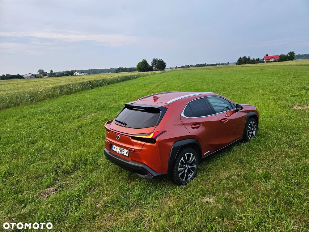 Lexus UX 250h GPF Omotenashi AWD - 3